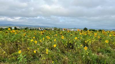 CDU-Sommerwanderung 2021 - Tag 1 in Unterschneidheim  - 