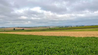 CDU-Sommerwanderung 2021 - Tag 1 in Unterschneidheim  - 