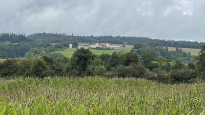CDU-Sommerwanderung 2021 - Tag 3 in Westhausen  - 